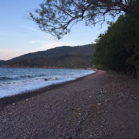 Gorgona Hotel Skala Sykamineas Dış mekan fotoğraf